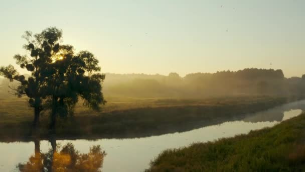 Vue aérienne sur une vallée avec brume au lever du soleil. Drone lent survolant rivière d'été, prairie et forêt. Les rayons du soleil se fraient un chemin à travers le brouillard.