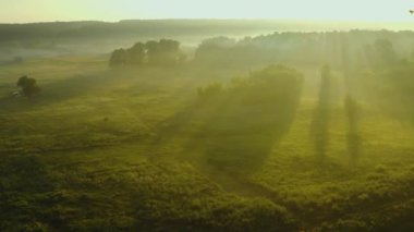 Güneşin doğuşunda sisli bir vadide hava manzarası. Yaz nehri, çayır ve orman üzerinde uçan yavaş bir dron. Güneş ışınları sislerin arasından yol alır..