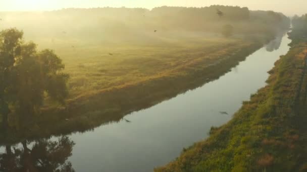 Vista Aérea Sobre Valle Con Niebla Amanecer Drone Lento Que — Vídeo de stock