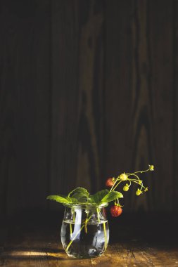 Cam kavanozda yaprakları, koyu ahşap yüzeyi olan yabani taze çileklerin dalında mükemmel güneş ışığıyla güzel sakin bir hayat.