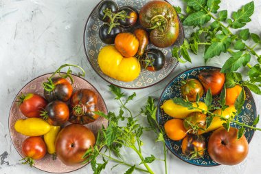 Açık gri beton yüzeyde seramik tabaklarda renkli çiğ domatesler. Yeşil ev yaşam tarzı kavramı ve geçimlik tarım ürünleri, düz döşeme, metin alanı