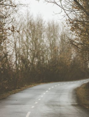 Bulanık sonbahar arka planı. Ormandaki yol. Yol boyunca ağaçlar, kasvetli, sisli bulutlu bir gün.. 
