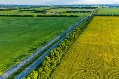 Yaza kadar harika panoramik manzaralı ayçiçeği ve buğday tarlaları üzerinde uçan hava. Güzel doğa manzarası. Çiftlik arazisi manzarası. Ekolojik konsept için harika dron fotoğrafı