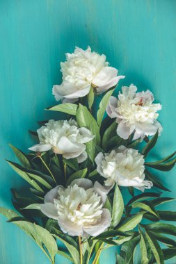 Tahta turkuaz masa yüzeyinde beyaz şakayık çiçekleri olan düz bir kompozisyon.