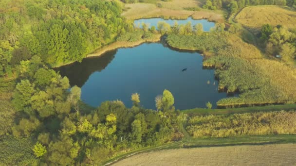 Latanie Lotnicze Nad Przepięknym Krajobrazem Wiejskim Jesienią Polami Lasami Jeziorami — Wideo stockowe