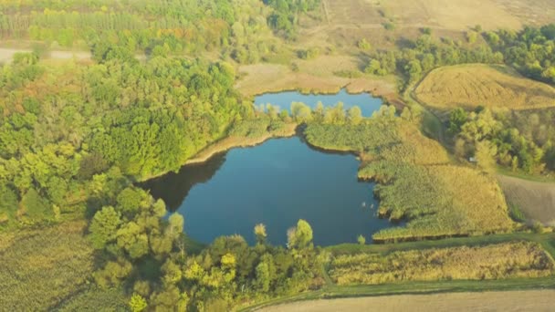 Letecké Létání Nad Nádhernou Venkovskou Evropu Krajina Podzim Poli Lesy — Stock video