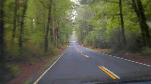 Road View Milford Sound Fiordland Nemzeti Park Zéland — Stock videók