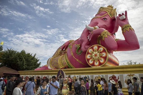 Chachoengsao Thajsko June10 2018 Velký Počet Turistů Fotit Před Růžové — Stock fotografie