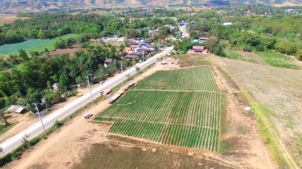 Luchtfoto Van Weg Khao Koh Petchabun Meest Populaire Winter Reizen — Stockvideo