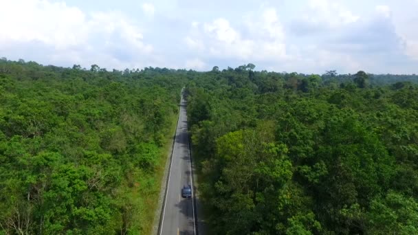 Mountain Cut Deep Rain Forest Thailand — Stock Video