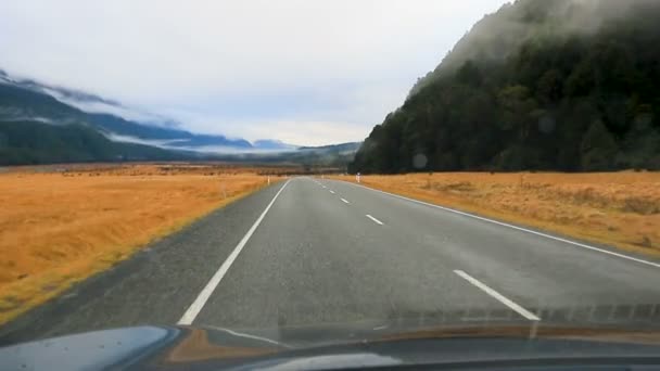 Milford Giden Yol Kenarı Yeni Zelanda Nın Güneyindeki Fjordland Milli — Stok video