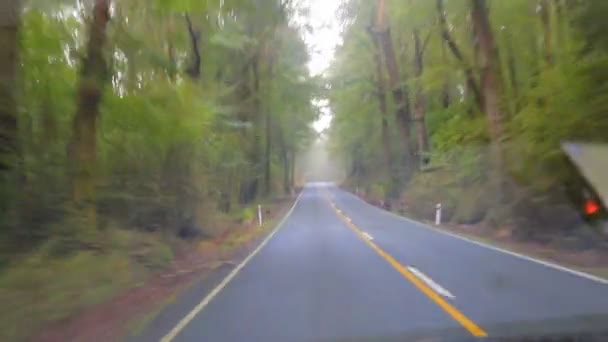 Yeni Zelanda Nın Güneyindeki Milford Sound Daki Milli Parka Giden — Stok video