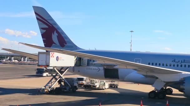 Qatar Luchtweg Vliegtuig Laden Behoren Tot Rome Internationale Luchthaven — Stockvideo