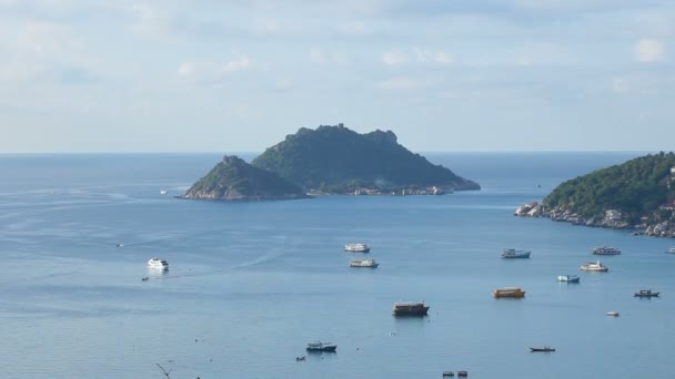 Piękne Wyspy Koh Tao Południe Tajlandii Jednym Najbardziej Popularnych Miejsc — Wideo stockowe