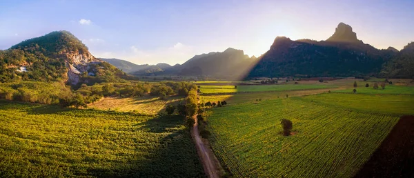 Beautiful Sun Light Sunflowers Agriculture Field Lime Stone Mountain Valley — Stock Photo, Image