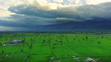 Petchburi Tayland 'daki tarım alanının havadan görünüşü