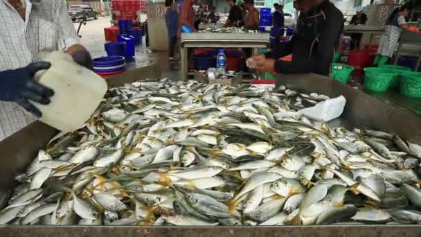 サミュートサ コーン September8 2018 サイズと魚の種類を集めて正体不明のワーカーを漁業船からマハチャイ地区重要な漁業産業郊外バンコク タイ首都でキャッチされました — ストック動画