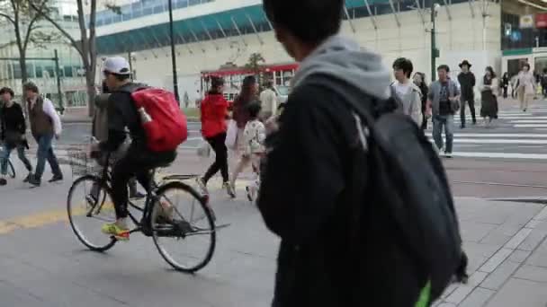Неопознанные Люди Идущие Улице Города Саппоро Hokkaido Остров Япония Одним — стоковое видео