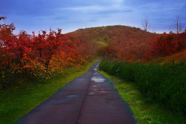 Showa Shinzan Usu Mountain Peak Viewpoint Autumn Color Change Season — Stock Photo, Image