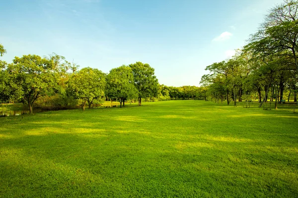 都市公共公園の緑の芝生フィールド — ストック写真