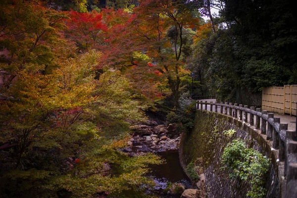 Mino Falls One Most Popular Traveling Destination Seeing Leaves Color — Stock Photo, Image