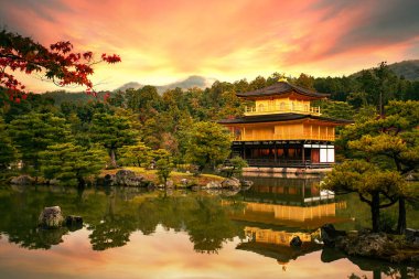 Kinkaku-ji Tapınağı, Altın Pavilion Kyoto Japonya Tapınağı en popüler seyahat yerlerinden biridir. 