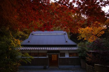 sonbahar sezonu mino-şelaleler osaka Japonya en popüler seyahat hedef içinde bir kırmızı rengi değiştirmez