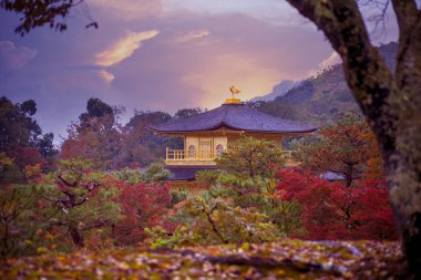 Kinkaku-ji Tapınağı, Altın Pavilion Kyoto Japonya Tapınağı en popüler seyahat yerlerinden biridir. 