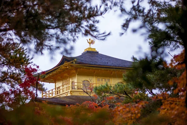 Kinkaku Rozciągacz Rozciągacz Złotego Pawilonu Kyoto Japan Jeden Najbardziej Popularnych — Zdjęcie stockowe