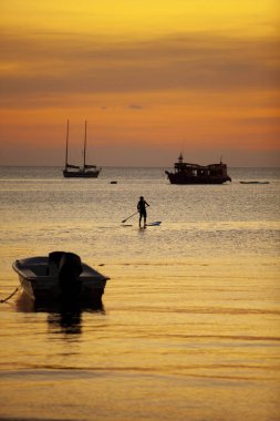 sup üzerinde duran adam, kürek kurulu yelken koh tao Harbor güzel günbatımı gökyüzü karşı ayağa