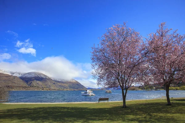 美丽风景名胜的瓦纳卡湖南国新西兰 — 图库照片