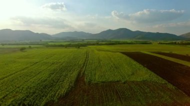 Lopburi Tayland 'ın tarım alanının havadan görünüşü