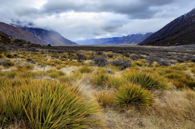 Aoraki - mt.cook Milli Parkı Yeni Zelanda
