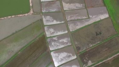 Tayland 'ın kuzeydoğusundaki tarım alanının hava görüntüsü