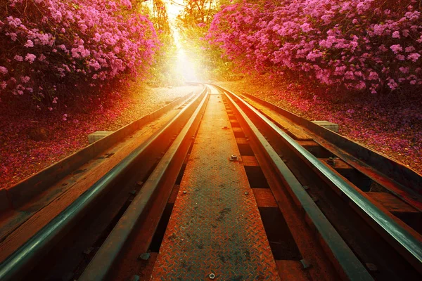 古老的铁路轨道和五颜六色的纸花开在一边 — 图库照片