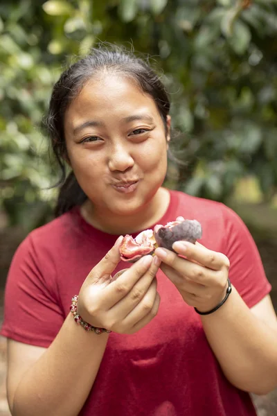 Азиатская женщина ест свежий мангостин на плодовых плантациях — стоковое фото