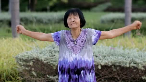 Old Asian Older Woman Morning Exercise Public Park — Stock Video