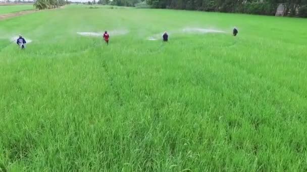 Luftaufnahme Eines Landwirts Der Insektenchemikalien Der Landwirtschaft Versprüht — Stockvideo