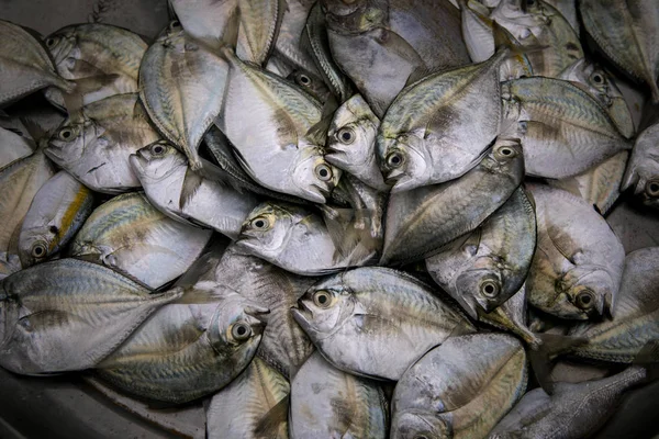 Poisson de mer frais se préparant pour la nourriture sur le marché frais — Photo