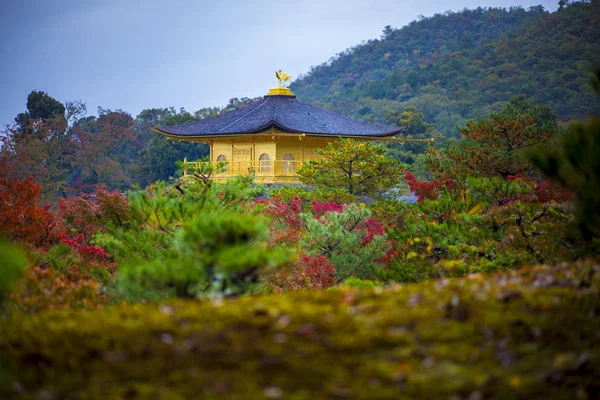 Kinkaku-ji temple, Świątynia Złoty Pawilon kyoto Japonia, jeden — Zdjęcie stockowe