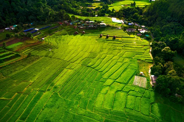 Letecký Pohled Rýžovou Terasu Chiang Mai Severně Thajska — Stock fotografie