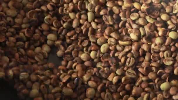 Cerrar Robusta Café Tostado Procesamiento — Vídeos de Stock