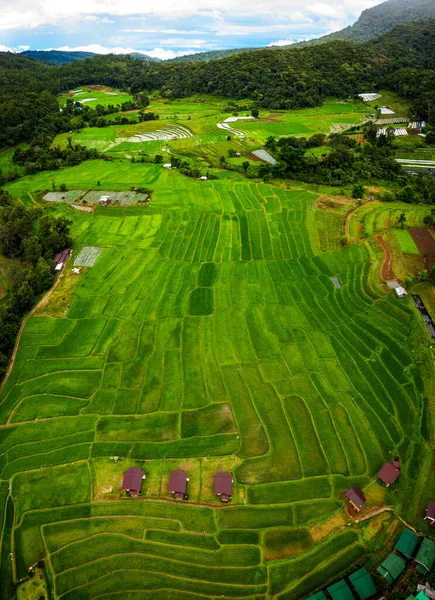 Vysoký Úhel Pohledu Rýžovou Terasu Chiang Mai Severně Thajska — Stock fotografie