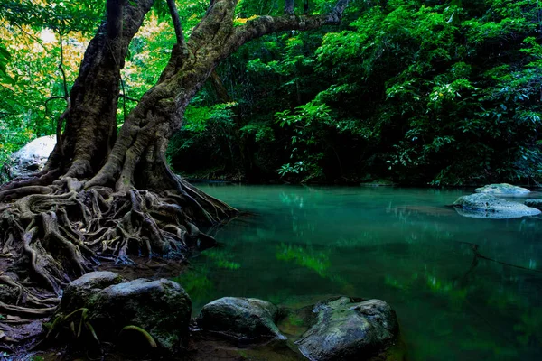 Purezza Torrente Nella Foresta Tropicale Profonda Kanchanaburi Thailandia — Foto Stock