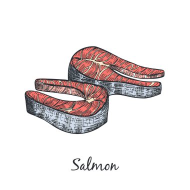 El Çizimi Ayrı Renkli Somon Parçaları