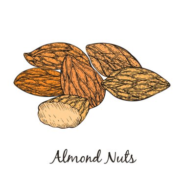 Bir avuç dolusu badem beyaza izole edilmiş.