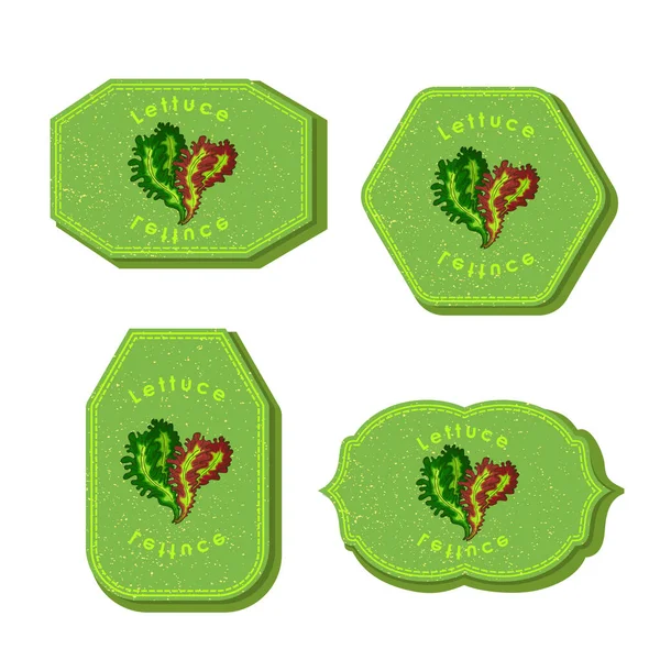 Set with Four Rectangular Labels for Lettuce — Stock Vector