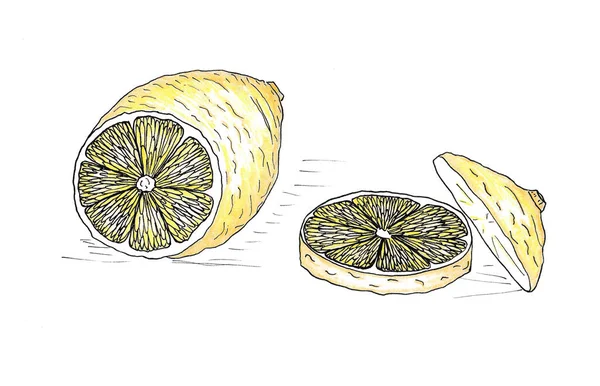 Ručně kreslený citron zbarvený akvarelovými tužkami — Stock fotografie