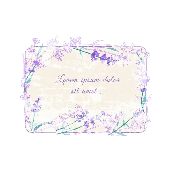 Lavender Twigs Outlined and Colored with Frame and Substrate — Stock Vector