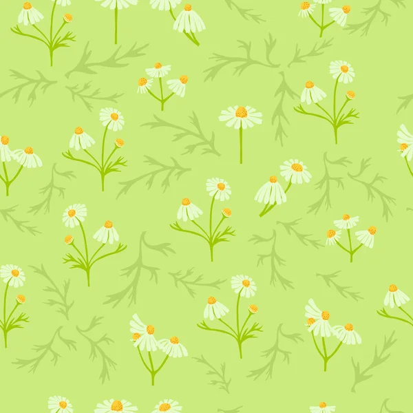 Seamless Pattern with Different Parts of Chamomile — Stock Vector